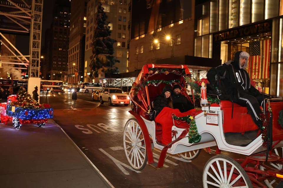 Magical Christmas Lights Carriage Ride (Up to 4 Adults) Gallery Image 4