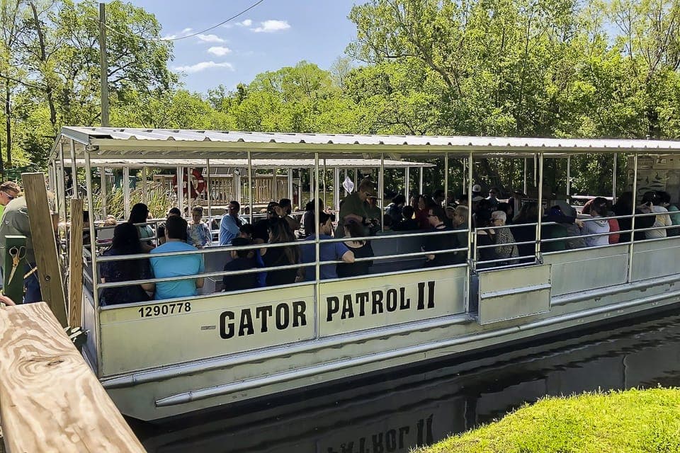 Bayou Swamp Tour and Oak Alley Plantation Tour Gallery Image 1