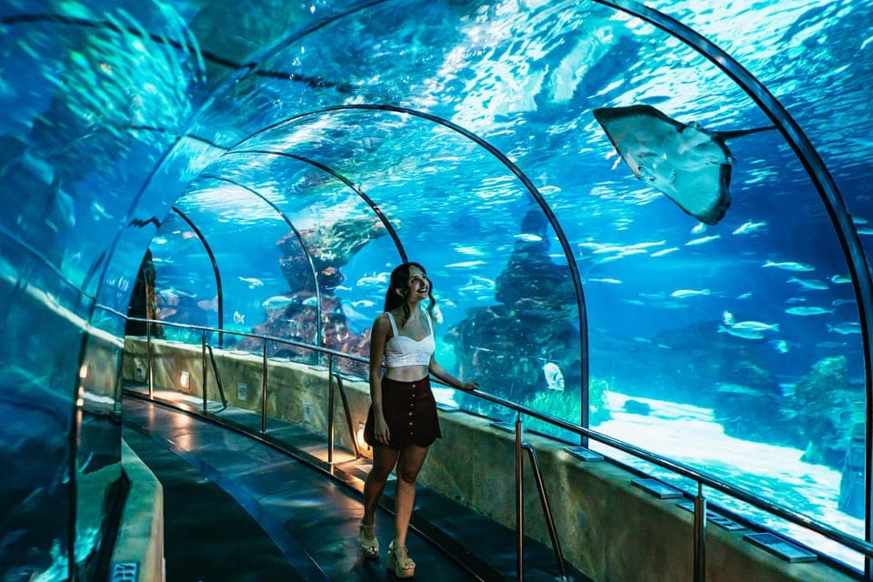 Barcelona Aquarium: Entry Ticket Gallery Image 1