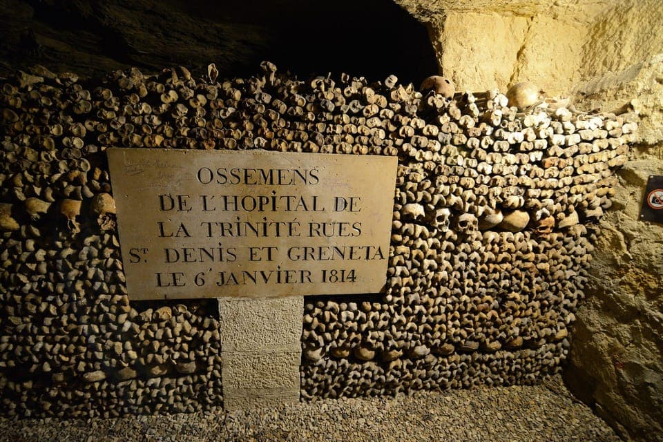 Catacombs Entry & Seine River Cruise with Audio Guide Gallery Image 2