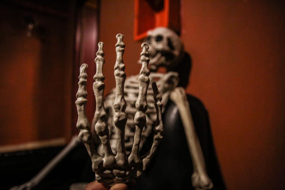 Escape Room Experience and Sailing Cruise Gallery Image 2