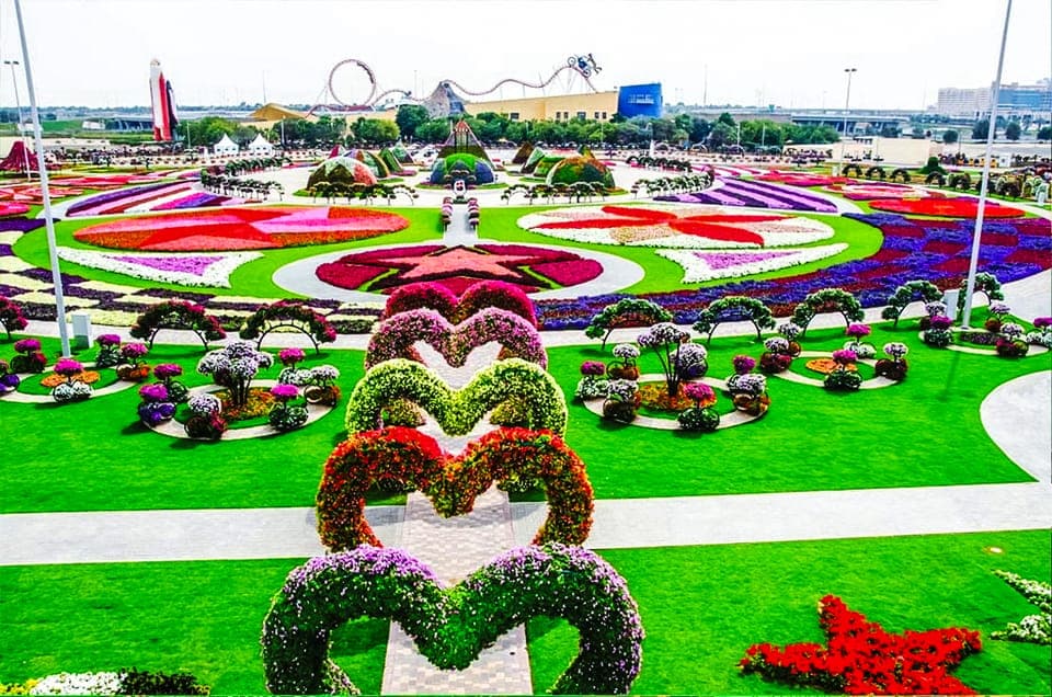 Dubai Flora and Fauna 4-Hour Tour Gallery Image 3