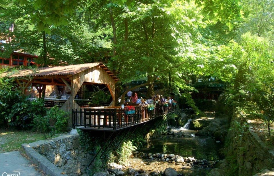 31. From Istanbul: Guided Day Trip to Sapanca and Masukiye - Image 31