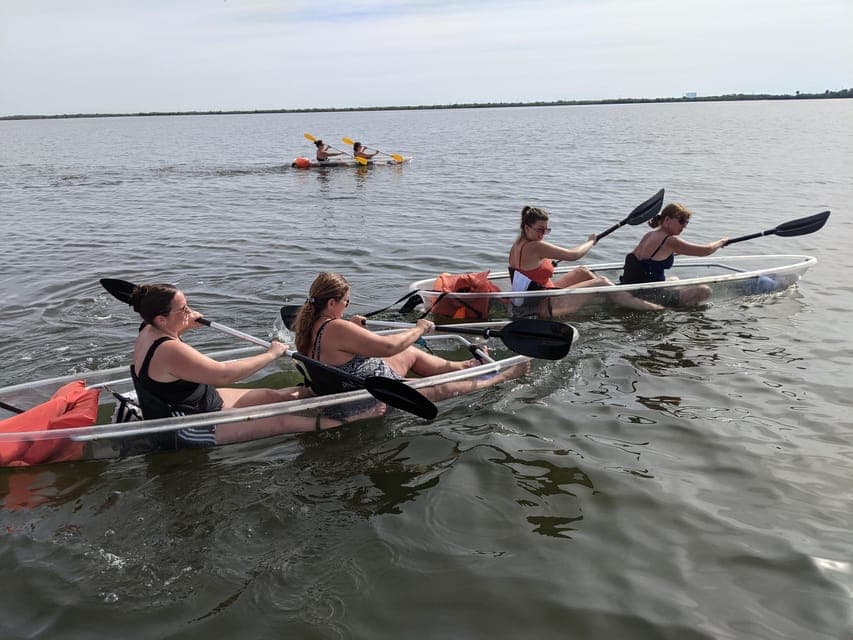 Dolphin Clear Kayak or Paddle Board Adventure Gallery Image 2