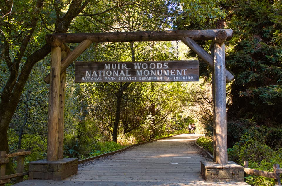 11. Muir Woods, Sausalito, Golden Gate Bridge, Private Tour - Image 11