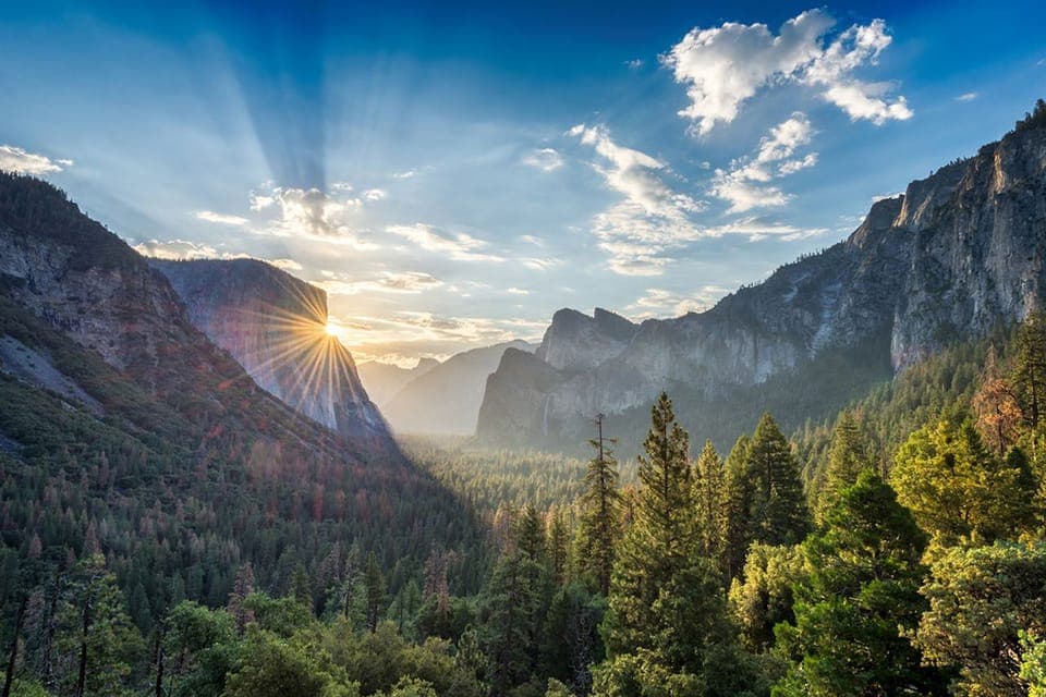 From SF: Yosemite Day Trip with Giant Sequoias Hike & Pickup Gallery Image 2
