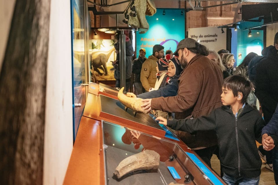 Natural History Museum Private Guided Family Tour Gallery Image 3