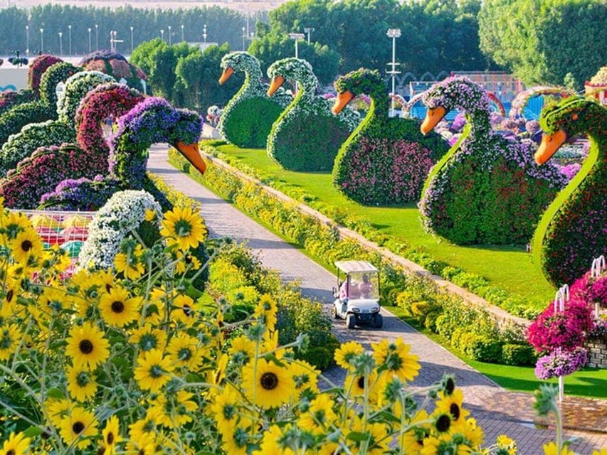 Miracle Garden, Global Village, and Dubai Frame Gallery Image 2