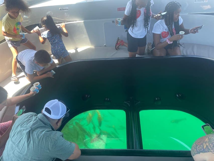 Long Beach: Glass Bottom Boat Harbor Ecotour Gallery Image 3