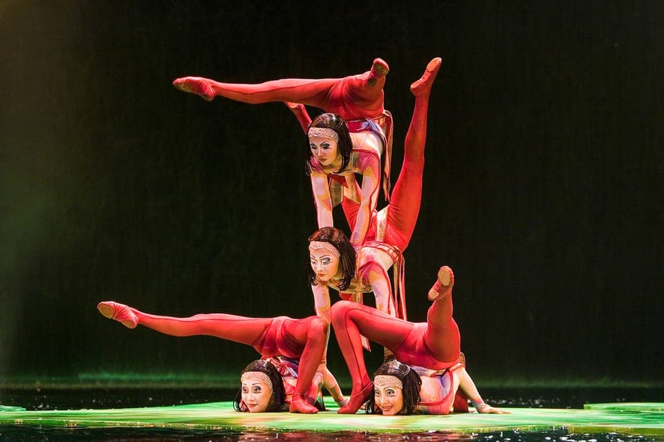 “O” by Cirque du Soleil at Bellagio Gallery Image 3