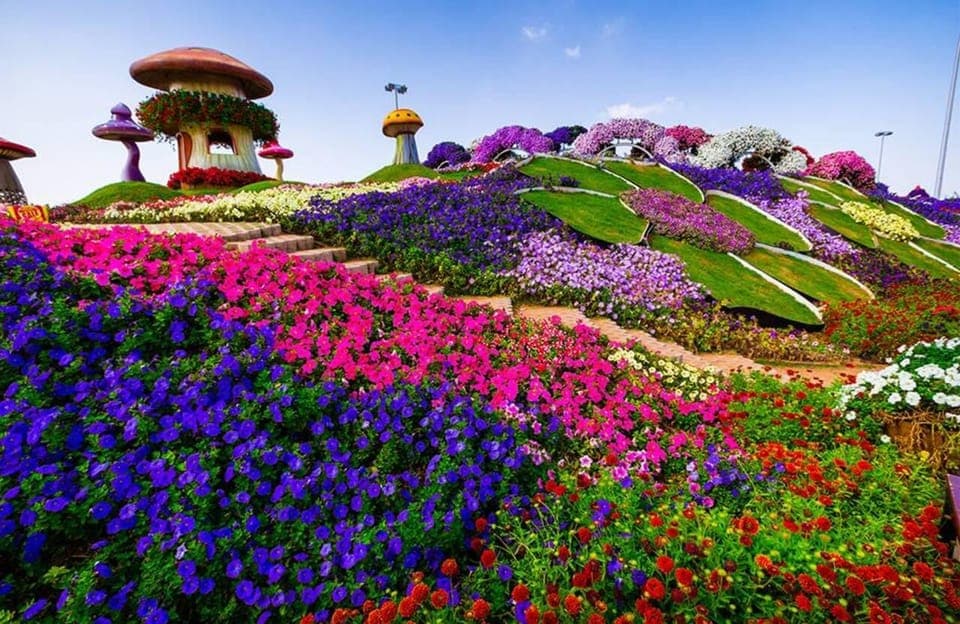 Miracle Garden Tickets with Round-trip Transfer Gallery Image 4