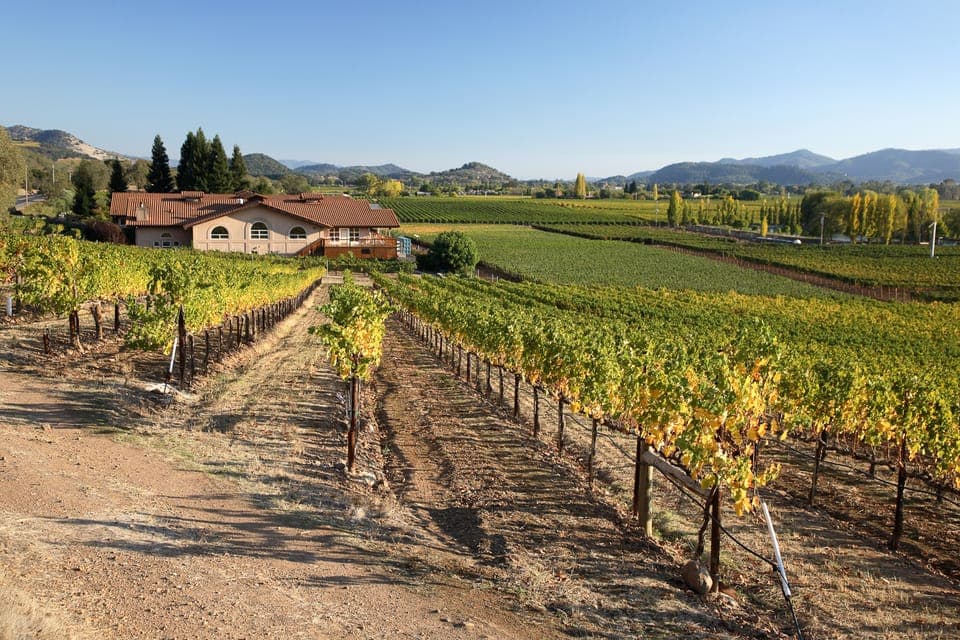 From San Francisco: Napa Valley Private Tour Gallery Image 4