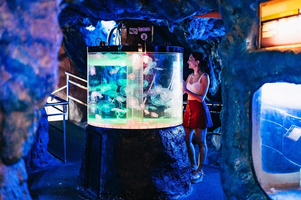 Barcelona Aquarium: Entry Ticket Gallery Image 4