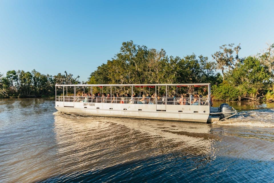 2. Guided Swamp Cruise by Tour Boat - Image 2