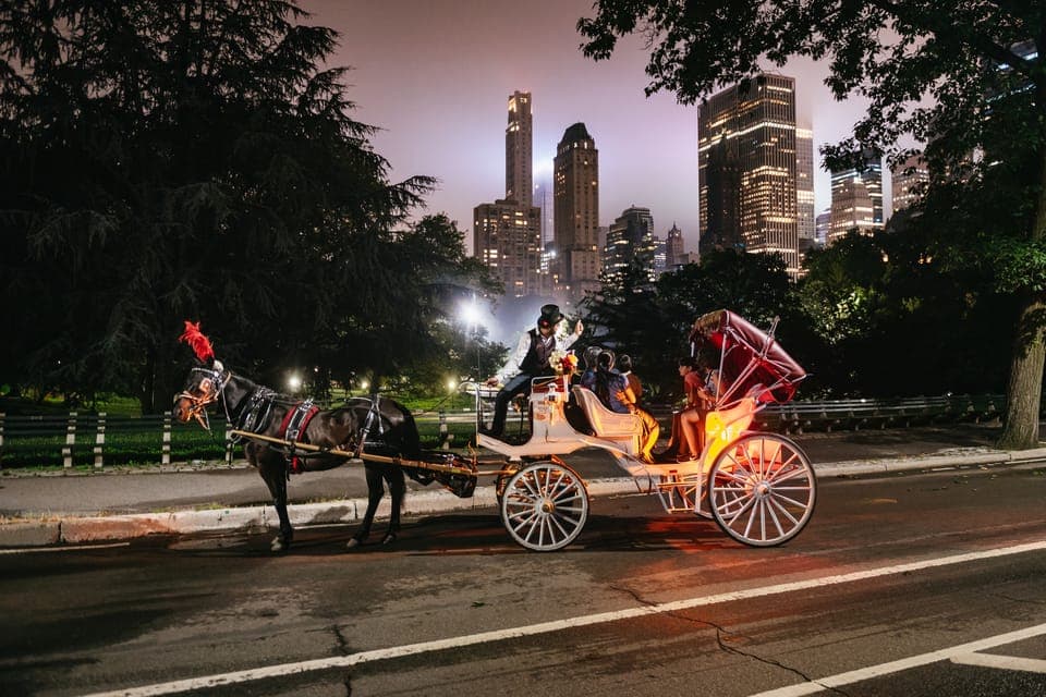 25. Central Park, Rockefeller & Times Carriage Ride (4 Adults) - Image 25