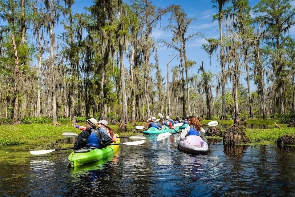 Manchac Magic Kayak Swamp Tour Gallery Image 4