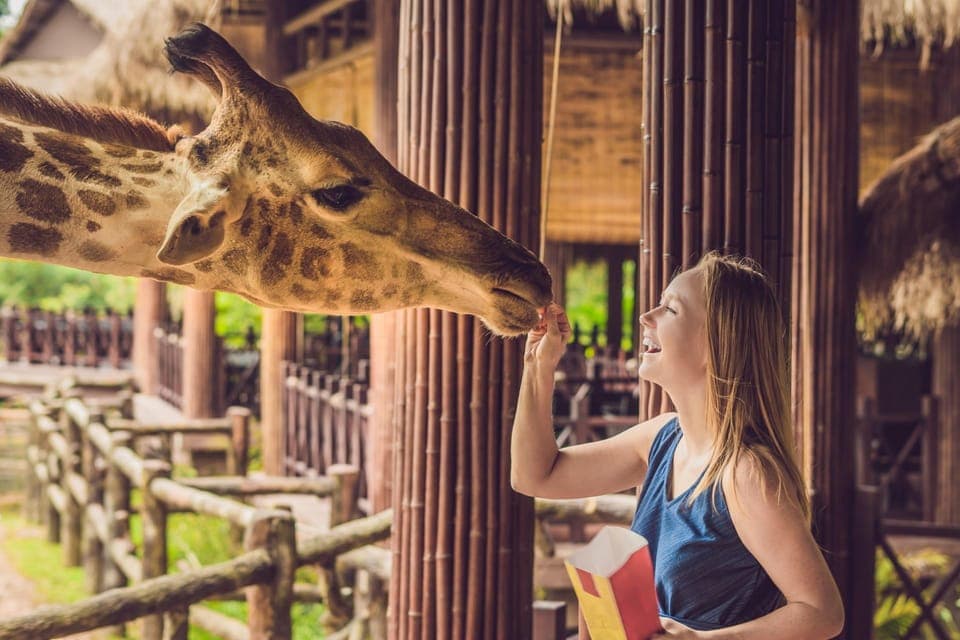Skip-the-line Tickets to Bronx Zoo with Private Transfers Gallery Image 2