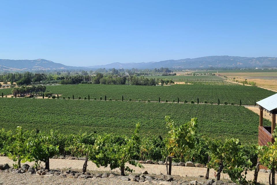 34. Half-Day Wine Tour with 2 Tastings Included - Image 34