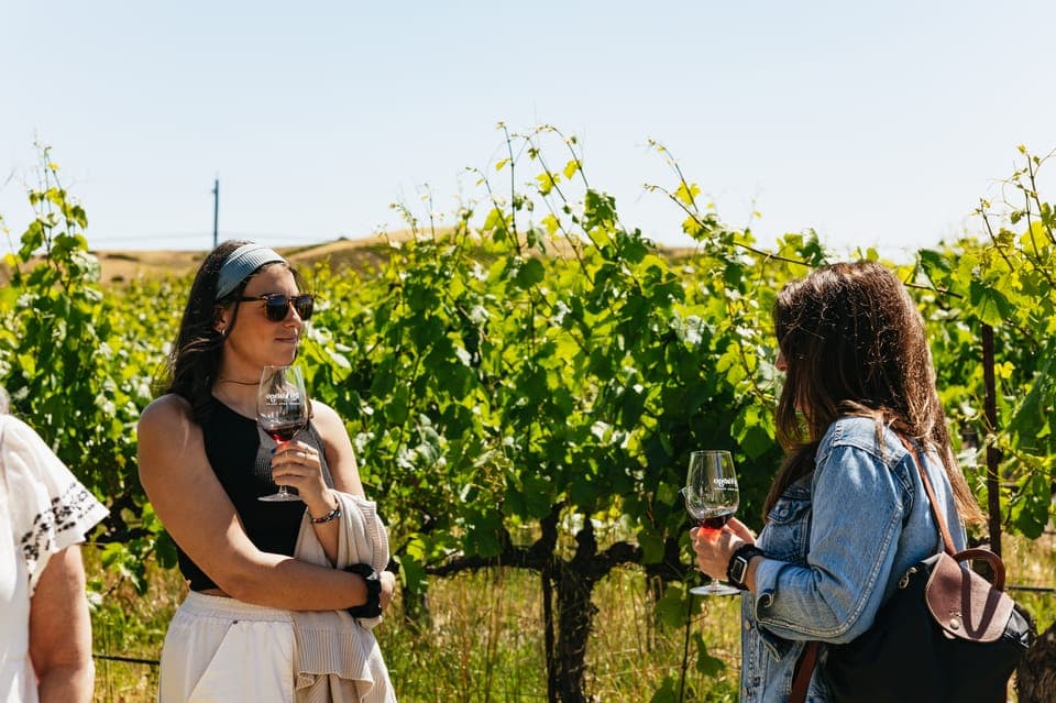 San Francisco: Napa and Sonoma Valley Wine Tour Gallery Image 2