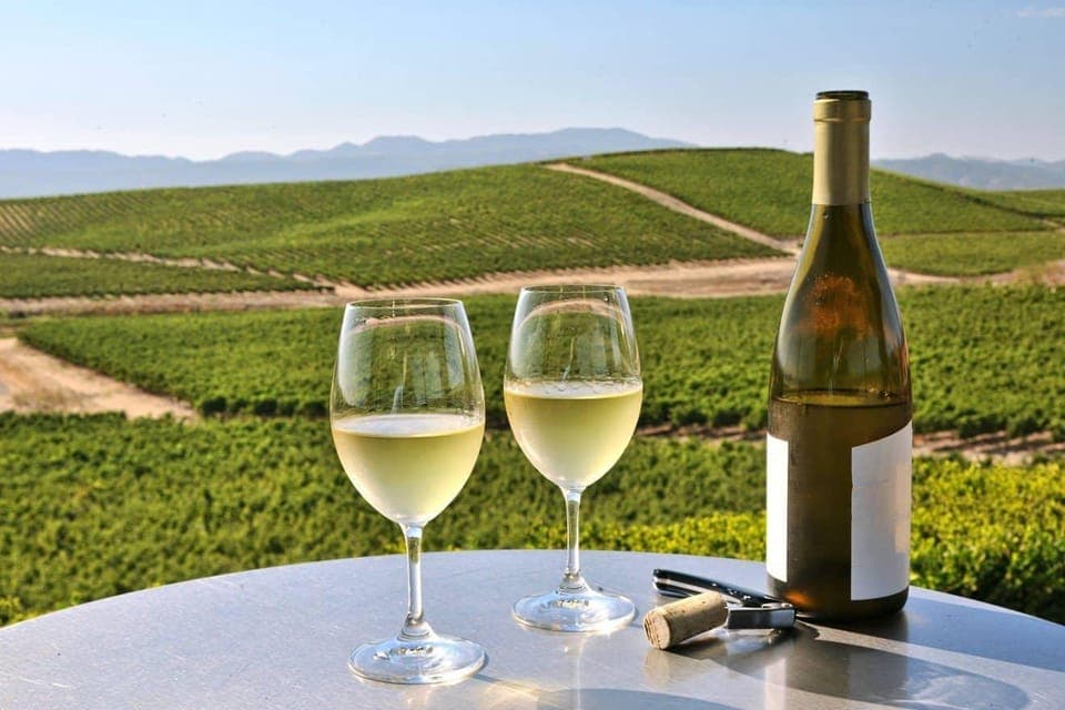 28. From SFO - Enchanted Napa & Sonoma Wine Tour in SUV - Image 28
