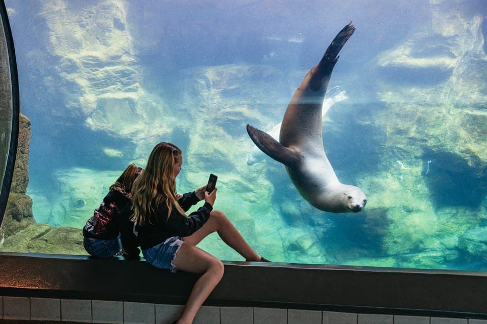 LA: Aquarium of the Pacific Skip-the-Line Entry Gallery Image 4