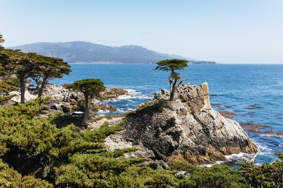 From San Francisco: Monterey and Carmel Day Tour Gallery Image 1