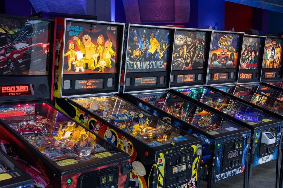 The Pinball Palace at Dezerland Park Admission Gallery Image 2