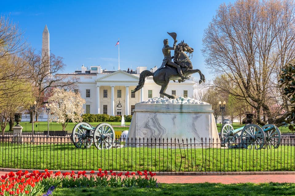 Washington, D.C.: History Tour Pub Crawl Gallery Image 2