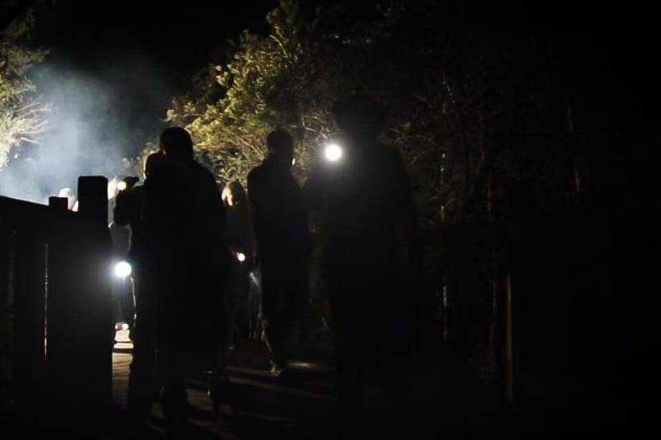 Gatorland Flashlight Tour at Night Gallery Image 4