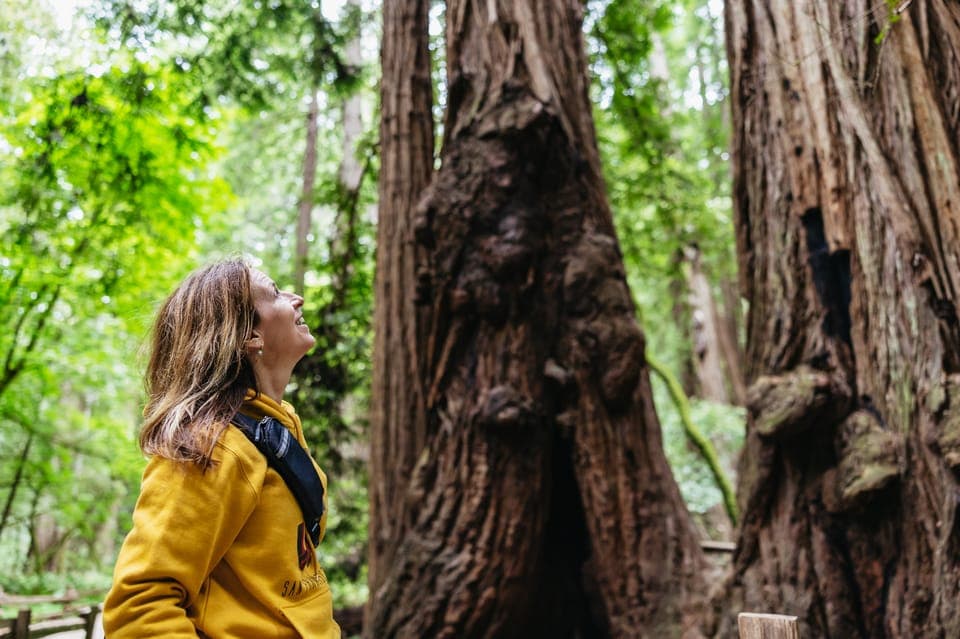 San Francisco: Muir Woods & Sausalito Tour with Ferry Option Gallery Image 1