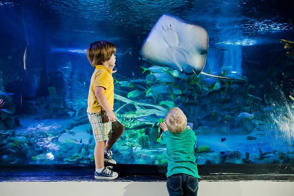 Madame Tussauds and SEA LIFE Aquarium Combo Ticket Gallery Image 2
