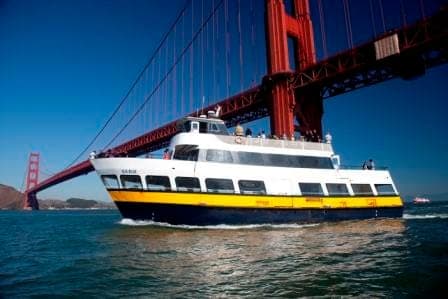 9. Hop-On Hop-Off City Bus Tour and Bay Cruise - Image 9
