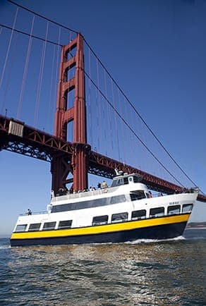 San Francisco: Hop-On Hop-Off City Bus Tour and Bay Cruise Gallery Image 3