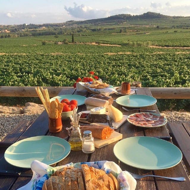 From Barcelona: 3 wineries with hotel pick-up and Lunch Gallery Image 3