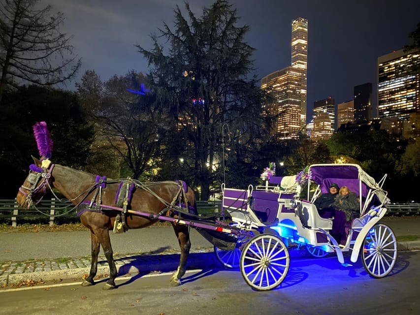 Private Christmas Lights Horse Carriage Ride Gallery Image 3