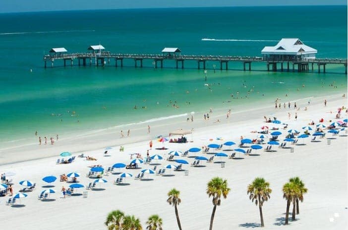39. From Orlando: Clearwater Beach and Marine Aquarium Admission - Image 39