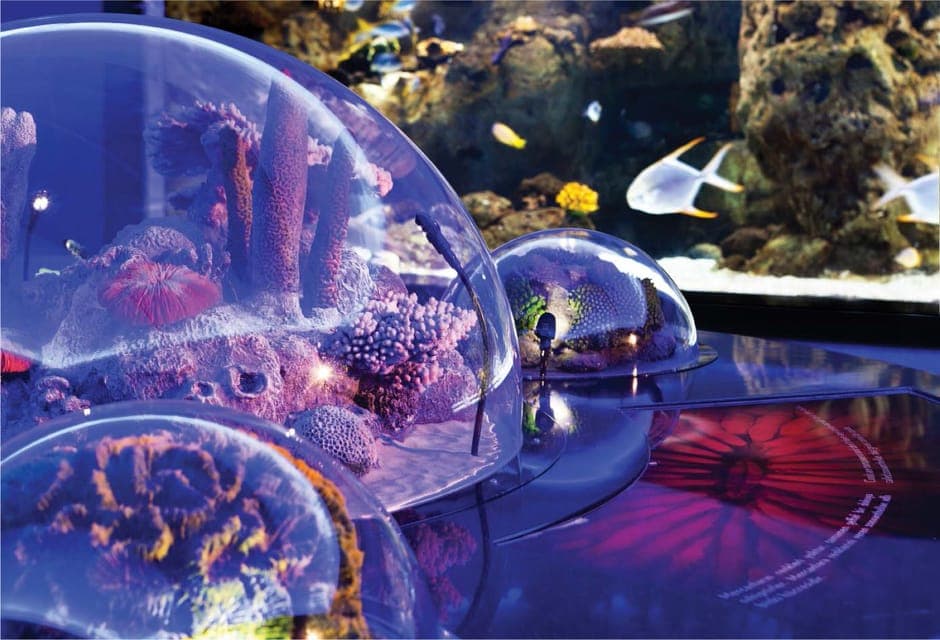 Istanbul Aquarium and Aqua Florya Shopping Mall Tour Gallery Image 2