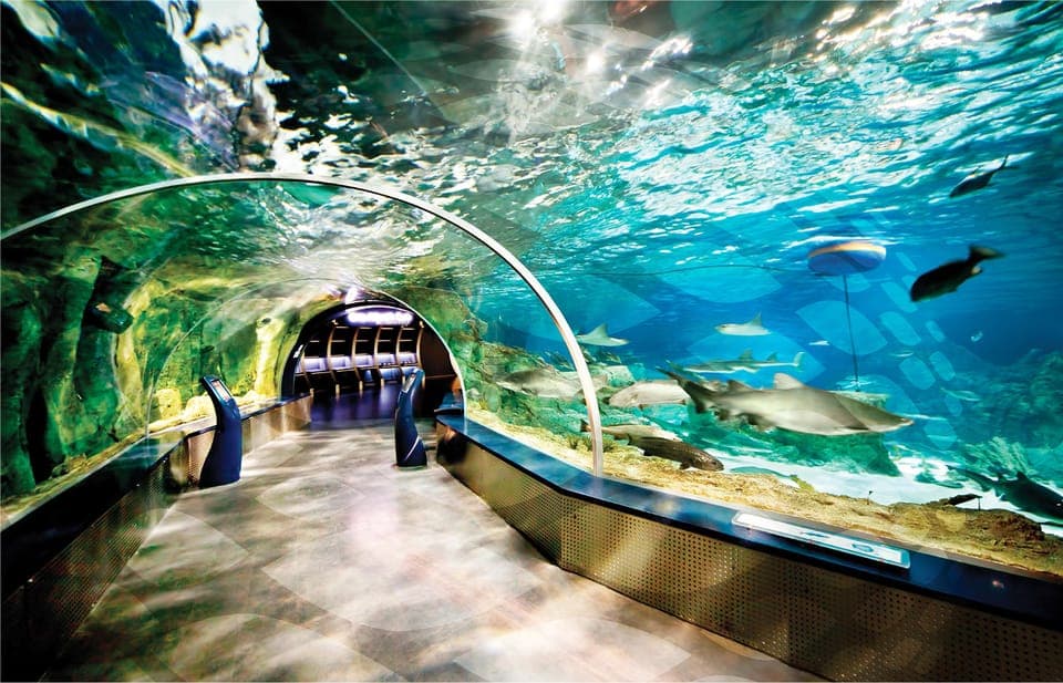 10. Istanbul Aquarium and Aqua Florya Shopping Mall Tour - Image 10