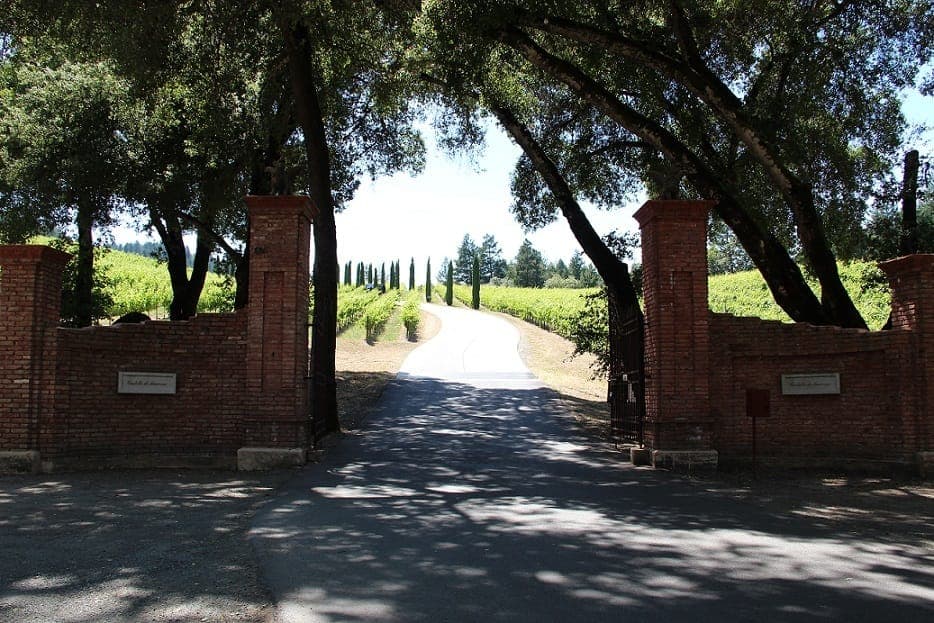 38. Half Day Wine Tour & Hop-On Hop-Off City Tour - Image 38