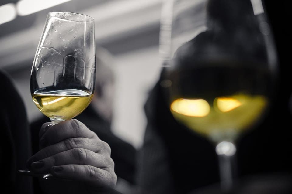 Barcelona Wine Tasting: Catalan and Spanish Wines Gallery Image 3