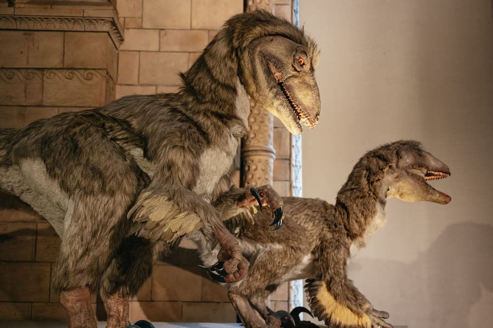 Natural History Museum Private Guided Family Tour Gallery Image 4