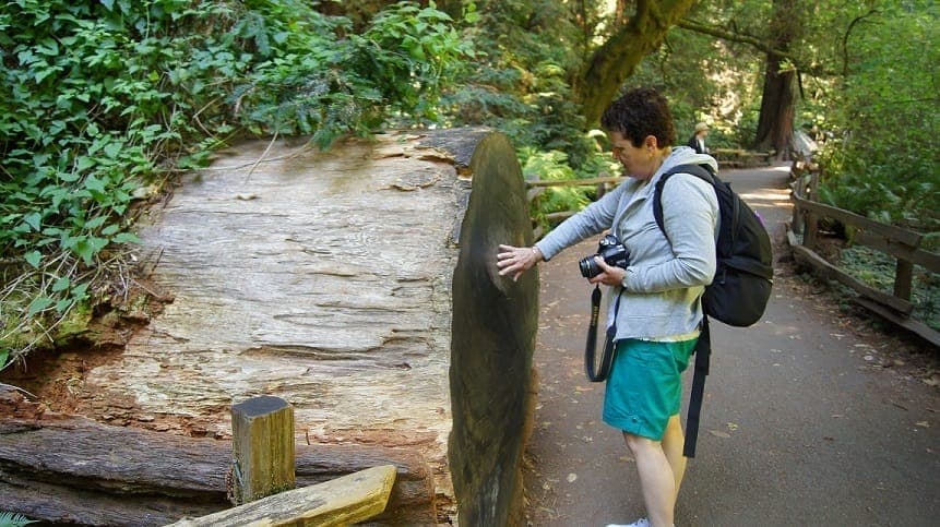 30. SF: Guided Muir Woods Tour & Hop-On Hop-Off Tour (Save 15%) - Image 30
