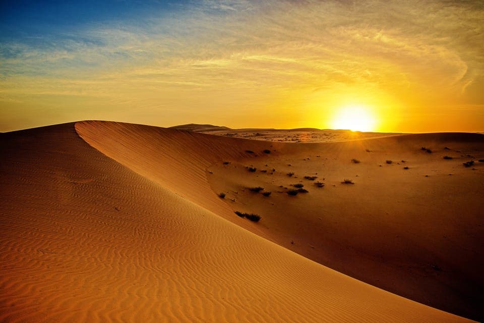35. Sunrise Desert Jeep Safari with Wildlife Experience - Image 35