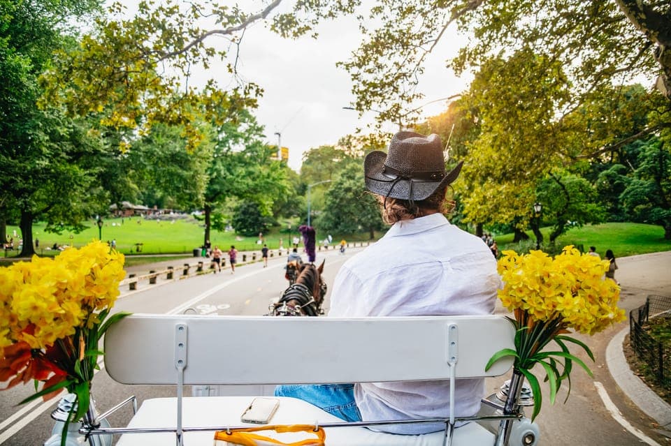 Guided Central Park Horse Carriage Ride Gallery Image 4