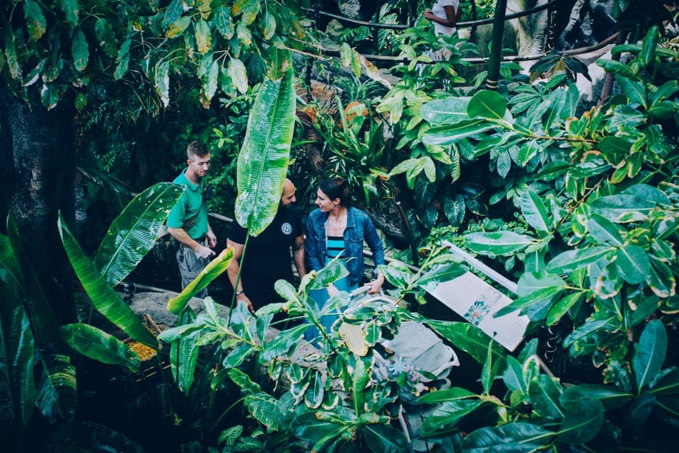 The Green Planet - Dubai's Unique Indoor Rainforest Gallery Image 3