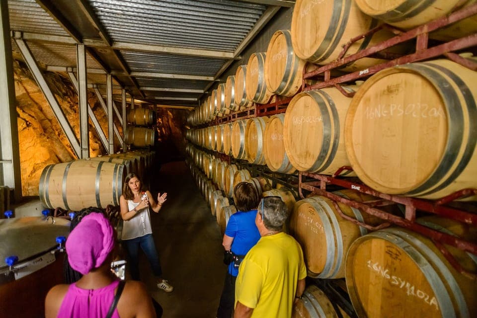 From Barcelona: Private Alella Wine Tour by Electric Bike Gallery Image 4