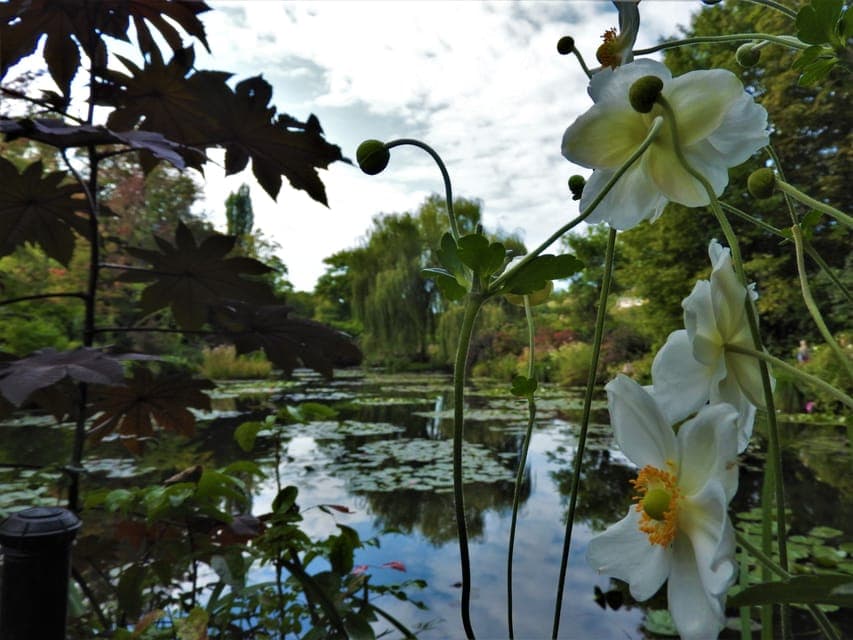 Giverny: Monet’s House and Gardens Skip-the-Line Tour Gallery Image 4