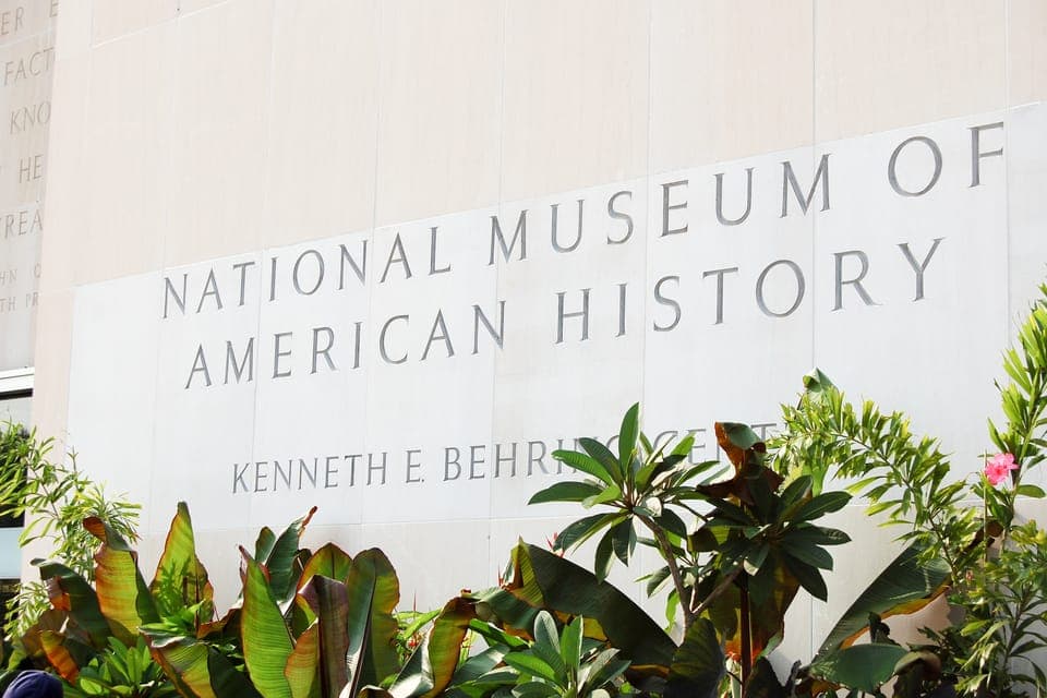 Washington, DC: Natural History & Air and Space Museum Tour Gallery Image 4