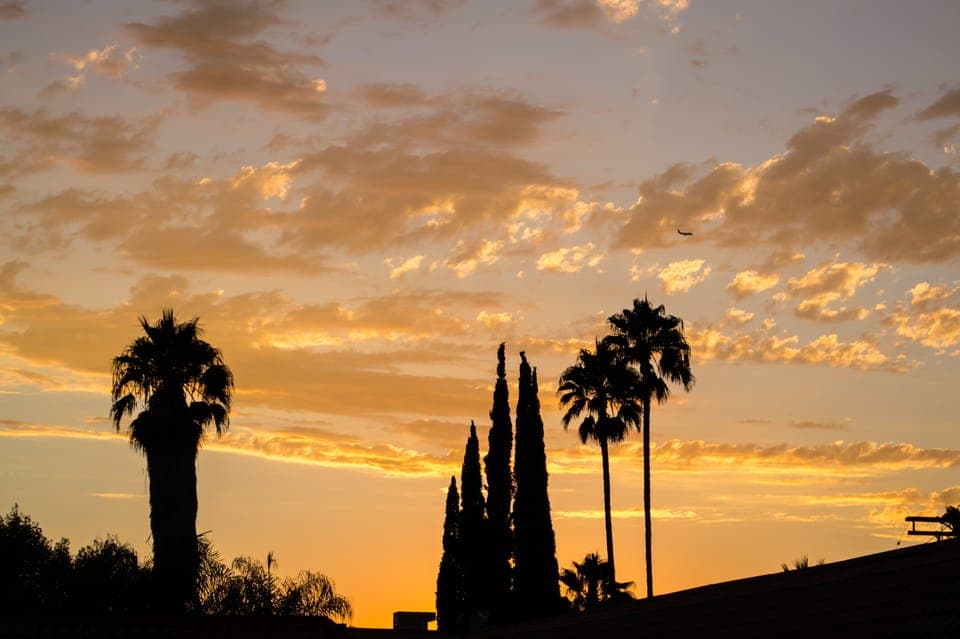 Private Los Angeles Tour by Night Gallery Image 2