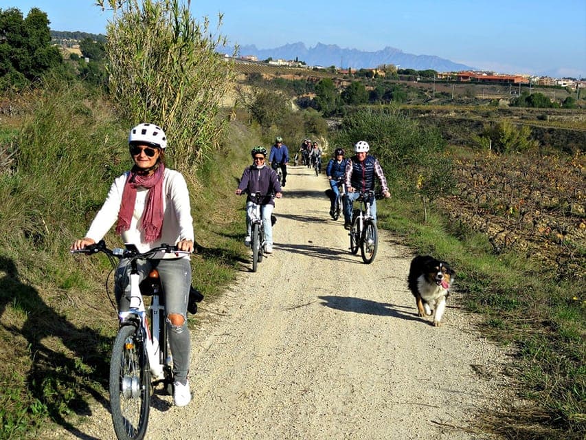 Guided Half-Day Wine and Electric Bike Tour Gallery Image 4